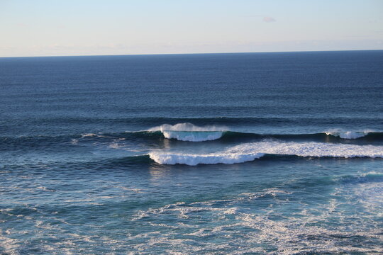 olas 