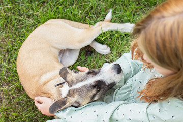 A girl strokes a light short-haired dog sitting on a green lawn. friendship between man and animal