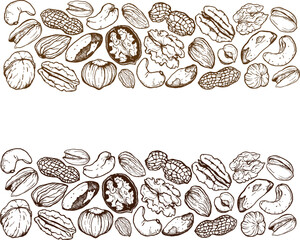 Vector line art border composition of mix nuts. Hand painted pistachio, walnut, hazelnut and almond on white background. Tasty food illustration for design, print, fabric or background. - 710935289