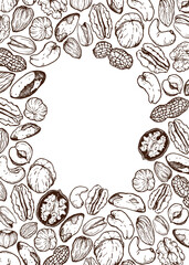 Vector line art invitation composition of mix nuts. Hand painted card of pistachio, walnut, hazelnut and almond on white background. Tasty food illustration for design, print, fabric or background.