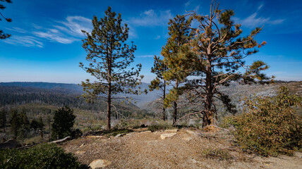 Fototapeta na wymiar Kings Canyon National Park California