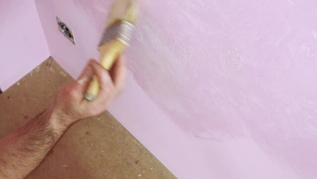 Male hand with a brush during the painting pink walls.