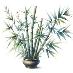 Fototapeta premium Watercolor paint bamboo plant for card decor