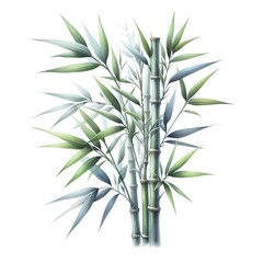 Fototapeta na wymiar Watercolor paint bamboo plant for card decor