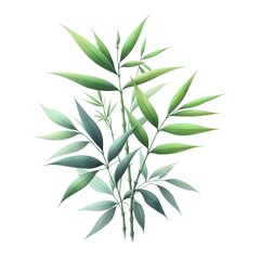 Obraz premium Watercolor paint bamboo plant for card decor