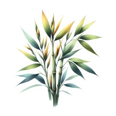 Fototapeta premium Watercolor paint bamboo plant for card decor