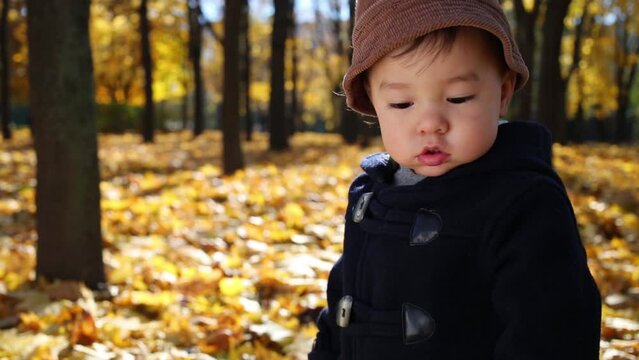 Little cute boy stands among dried foliage in autumn park