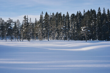 Image from the area of the Gaasloa Lake, part of the Totenaasen Hills, Norway, in January.