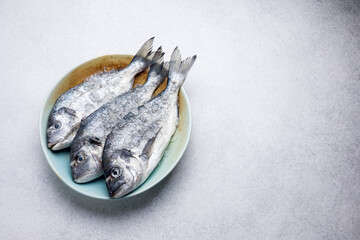 fresh, raw dorado on a plate. Close up