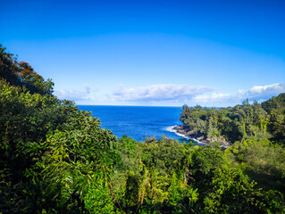 Fototapeta na wymiar Ocean View From Hilo Hawaii
