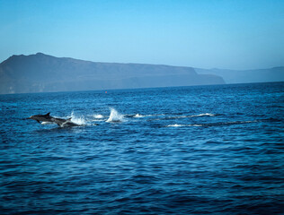Channel Islands National Park California