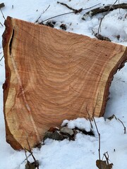 a piece of a felled tree trunk lies on the white snow