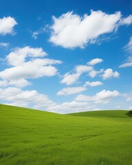 Fototapeta premium Green rolling hills under a blue sky with white clouds