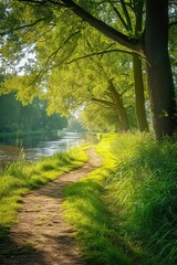 Path Alongside a Waterbody