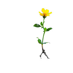 Resilience Concept Concept. Isolated on a Transparent Background. Cutout PNG.
