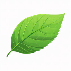 Obraz premium Ecology (green leaf) icon isolated on a white background