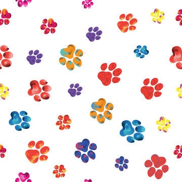 Rainbow animal paw print trails on a transparent background. Silhouettes of cat, dog footprint. Brushstroke vector illustration.