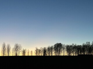 Sunset over the field with late autumn trees in Reola, Kambja vald, Tartu maakond, Estonia, November 2022