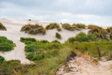 Grassy hills by an expanding sand desert..