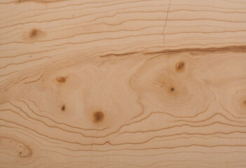 Figured maple with pink amber or rose color - prized for visual appearance on guitars and fine furniture.