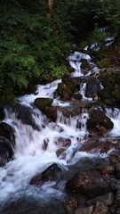 A bubbling waterfall in the forest, water runs over round stones