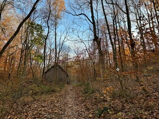 An abandoned old tobacco barn in a state of disrepair in the middle of a forest on an autumn day