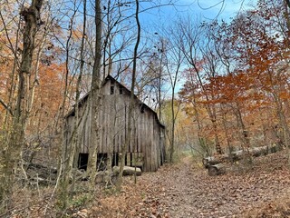 An abandoned old tobacco barn in a state of disrepair in the middle of a forest on an autumn day