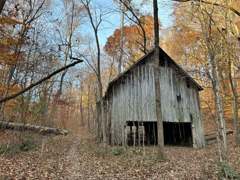 An abandoned old tobacco barn in a state of disrepair in the middle of a forest on an autumn day