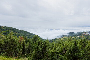 Scenic summer nature landscape with lush greenery and blue skies with clouds.