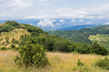 Scenic summer nature landscape with lush greenery and blue skies with clouds.