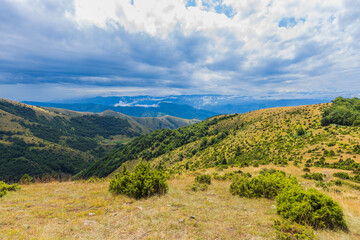 Naklejka premium Scenic summer nature landscape with lush greenery and blue skies with clouds.