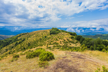 Scenic summer nature landscape with lush greenery and blue skies with clouds.