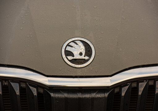 Gothenburg, Sweden - January 02 2021: Badge and grill of a grey Skoda car.