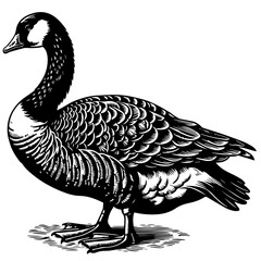 Goose Vector Logo Art
