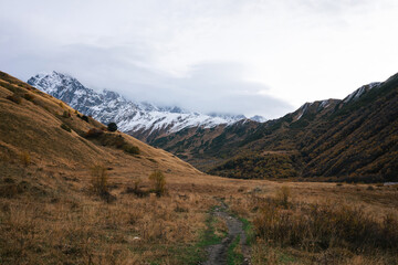 Autumnal Tranquility in the Mountains. A serene path leads towards snow-capped peaks amidst the golden hues of fall