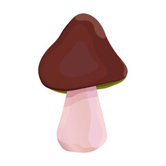 Honey mushrooms. Cartoon non-edible mushroom. Organic, poisonous mushroom. Hypholoma fascicular. Cartoon mushroom on a white background. Type of forest mushrooms. Vector drawing