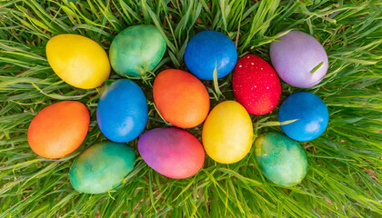 Fototapeta na wymiar Top view on Easter eggs in grass, holiday Easter hunt, green meadow, greeting card