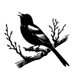 oriole serenading the dawn with its melodious song Vector Logo Art