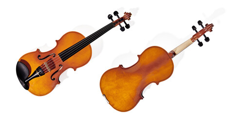 Violin on white background. Classical music instrument - 711001086