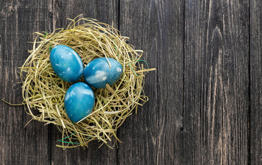 Dark green easter egg in hay nest on white background - 711001268