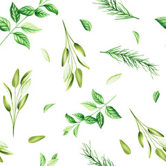 Watercolor seamless pattern with aromatic herbs. Illustrations of fresh rosemary, mint, sage isolated on background. Detail of beauty products and botany set, cosmetology and medicine. For designer