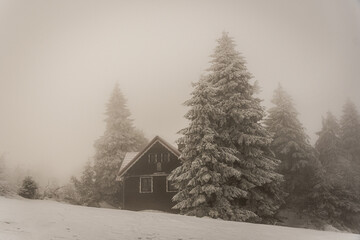 old house in the forest