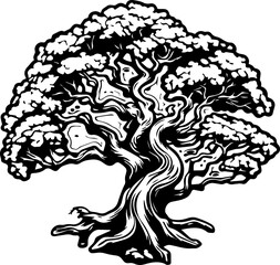 Beautiful Ancient Tree - Strong Roots