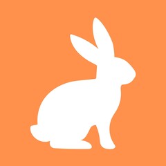 illustration of a rabbit