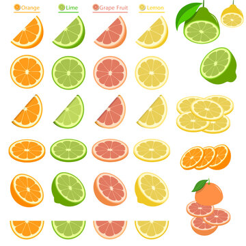 Vector Graphic Citrus Fruits Slice Collection 4 Colors (Orange,Lime,Grapefruit,Lemon)