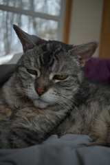 Camping Station Chêne Rouge 7 Au 12 Janvier 2024