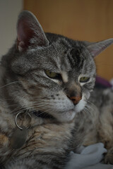 Camping Station Chêne Rouge 7 Au 12 Janvier 2024