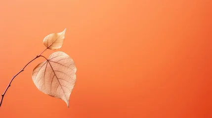 Fotobehang vibrant abstract autumn background illustration seasonal fall, artistic texture, design orange vibrant abstract autumn background © vectorwin