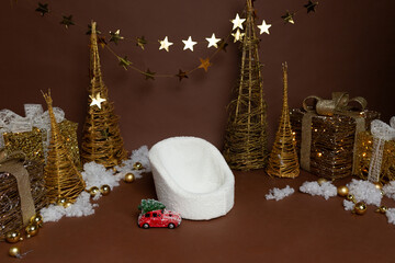 photo zone for a photo shoot. Golden Christmas trees. Christmas garland of lights