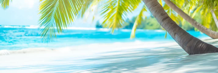 Tuinposter panorama of tropical beach with coconut palm trees  © Viks_jin